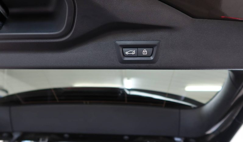 BMW X5 xDrive 30d mHEV A/T full